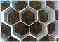 耐久アルミニウム蜜蜂の巣中心の電気の企業の変圧器の使用法 サプライヤー