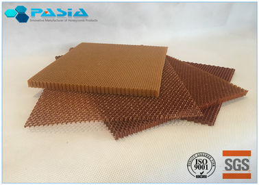 中国 エポキシ樹脂菌類の抵抗のジャカード処置のAramidの蜜蜂の巣のパネル サプライヤー