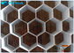 高い剛性率の取付け、絶食すること強い装飾の蜜蜂の巣構造の物質的な容易 サプライヤー