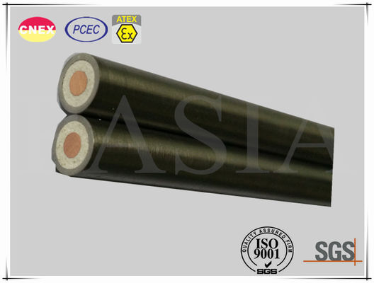 Single Core Heating Element of Mineral Insulated Cable for Industrial Use サプライヤー